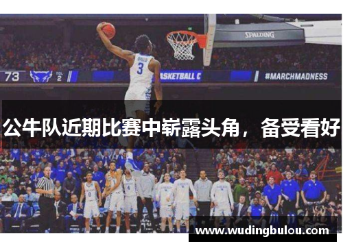 公牛队近期比赛中崭露头角，备受看好