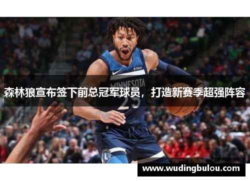 森林狼宣布签下前总冠军球员，打造新赛季超强阵容