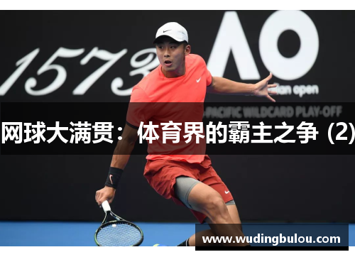 网球大满贯：体育界的霸主之争 (2)