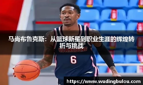 OB电竞·(中国)电子竞技平台